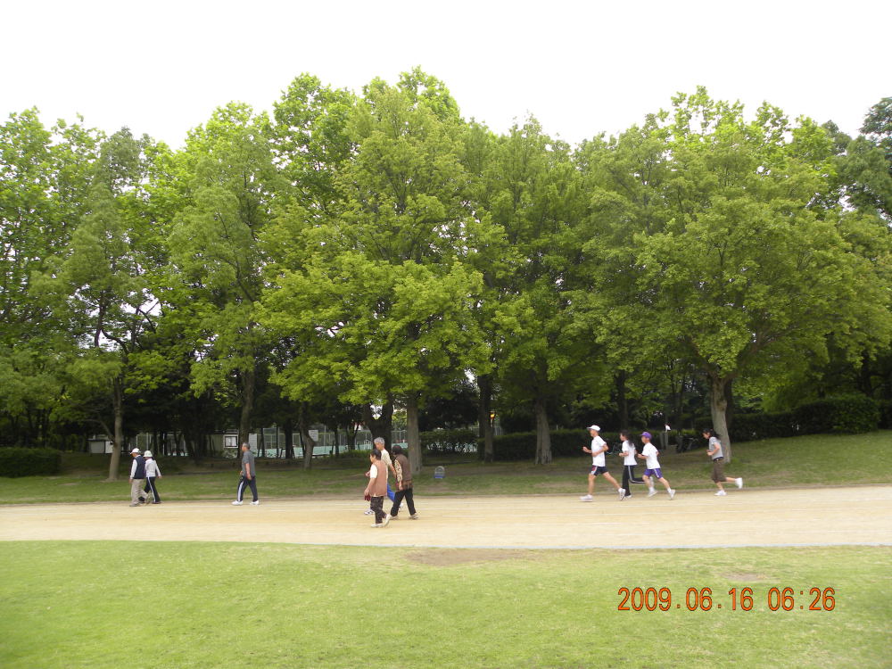 幾久公園【66】　６月１6日（火）_c0078410_854752.jpg