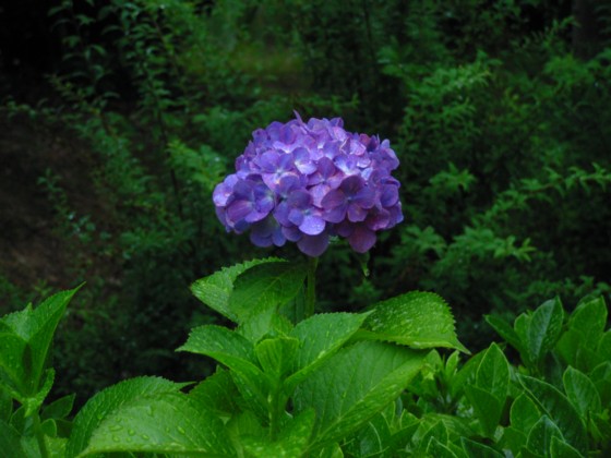 d0048812_8535411.jpg