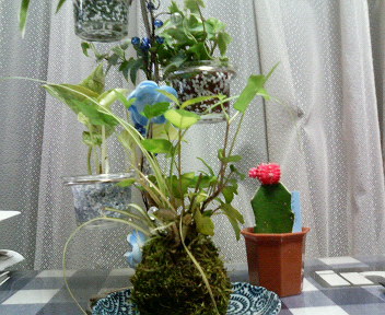 観葉植物に癒されて作曲など…。_b0183113_0585132.jpg
