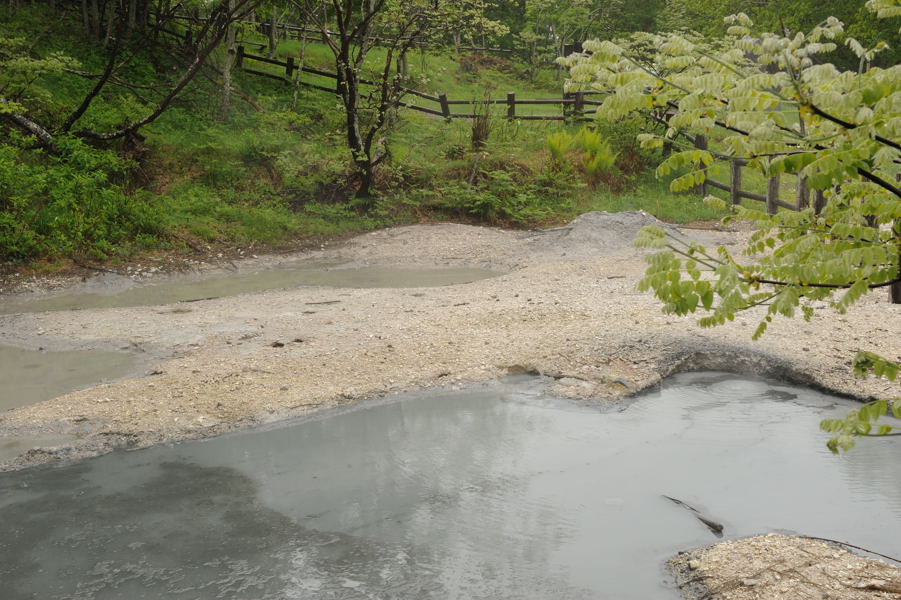 阿寒湖畔エコミュージアムセンター散策路_e0037126_23202989.jpg