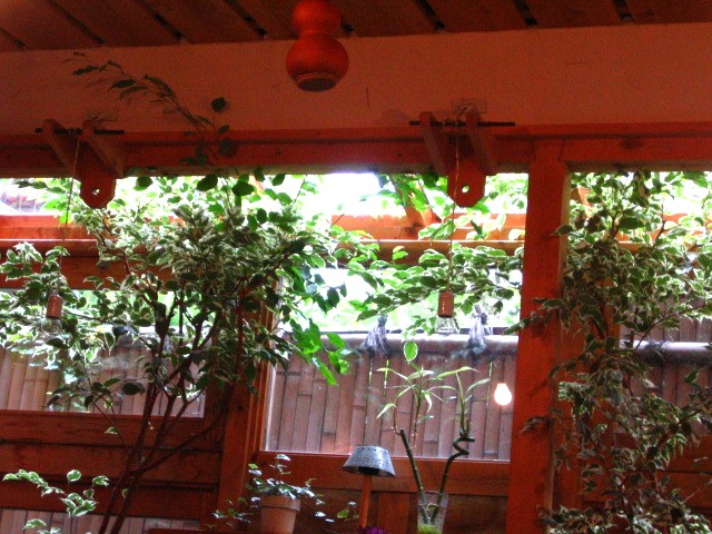 d0140533_1433409.jpg