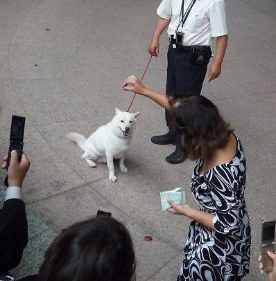 おとうさん犬のカイ君に会ってきた。_a0045636_2157347.jpg