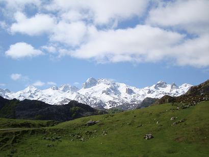 アストゥリアスのCasa RuralとPicos de Europa_e0120938_1551433.jpg