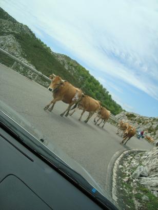 アストゥリアスのCasa RuralとPicos de Europa_e0120938_15524658.jpg