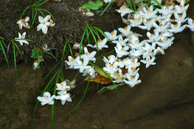 c0067040_218194.jpg