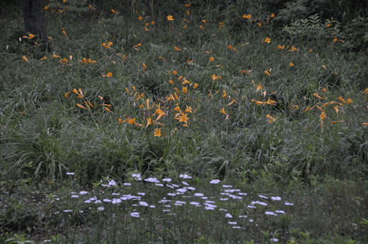 c0093046_6413081.gif