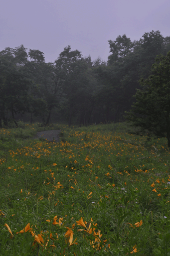 c0093046_6415281.gif