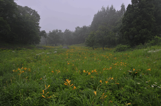 c0093046_6421427.gif