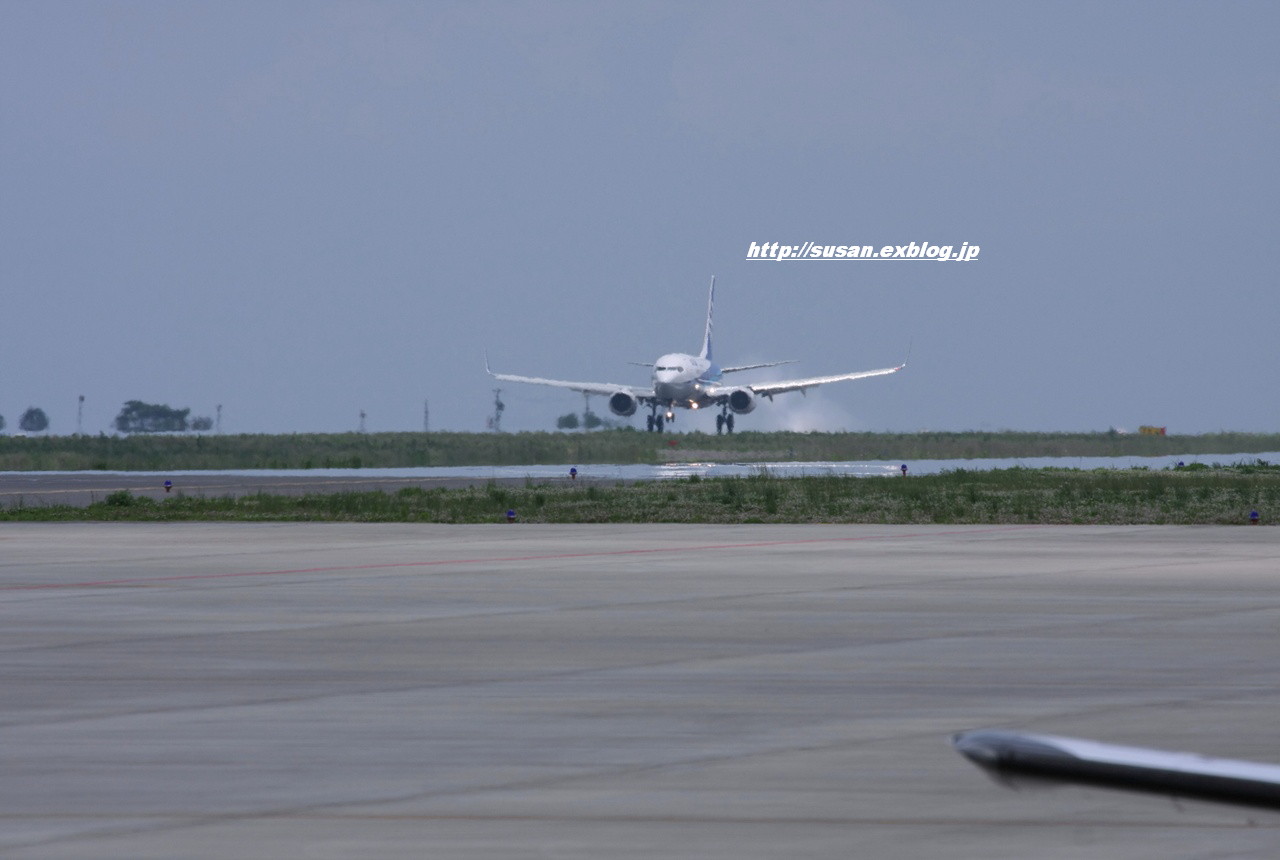 f0136656_1952660.jpg