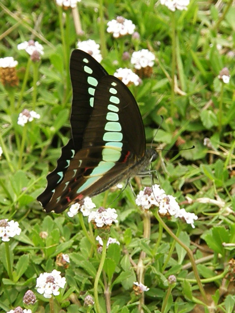 e0064158_23243073.jpg