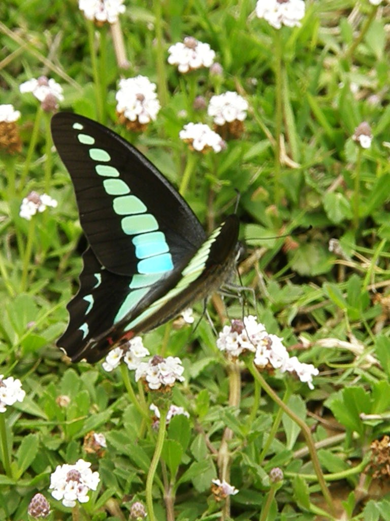 e0064158_23244582.jpg