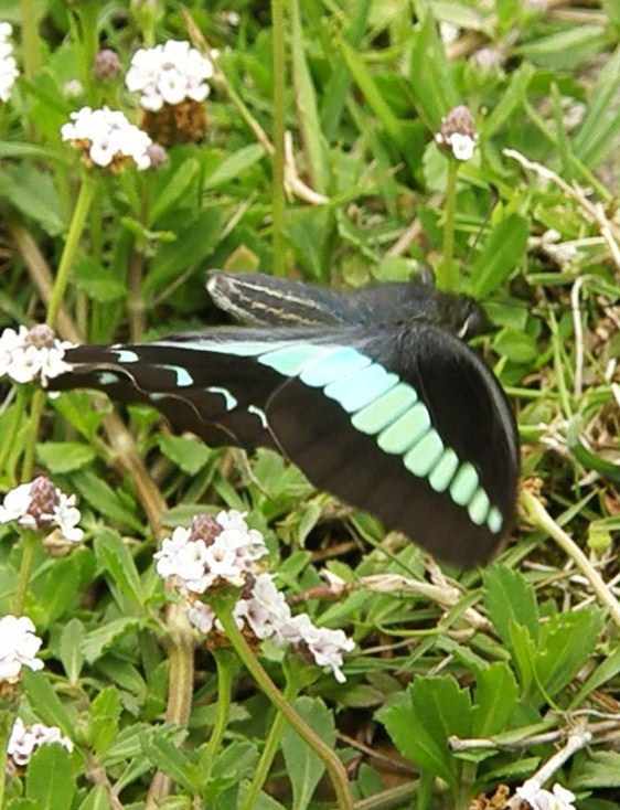 e0064158_23245915.jpg