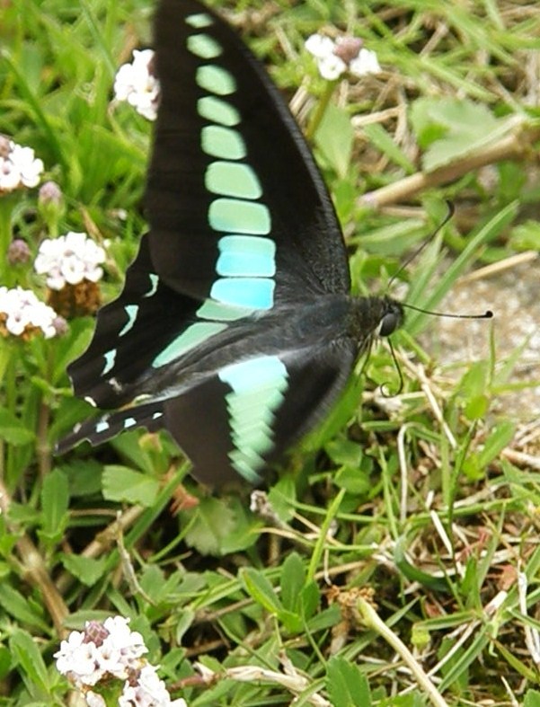 e0064158_23251222.jpg