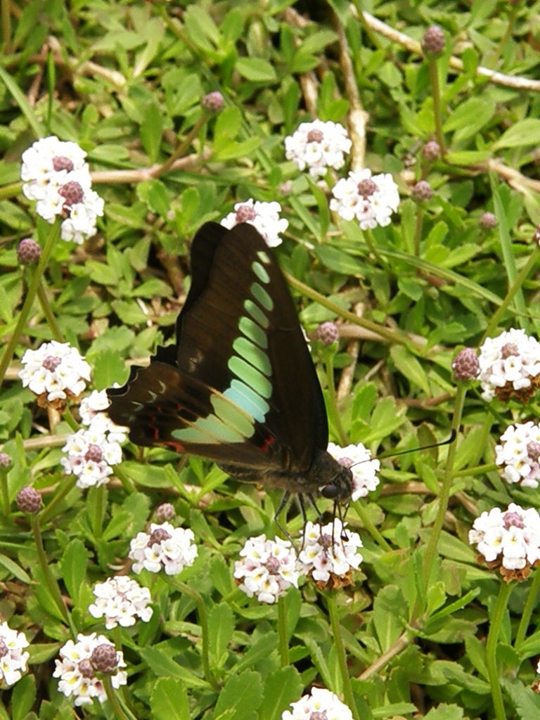 e0064158_23255887.jpg