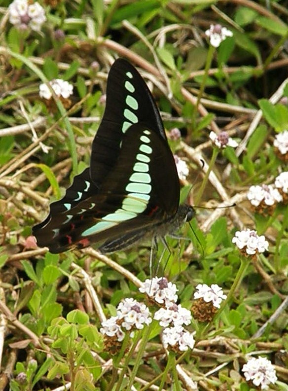 e0064158_23262726.jpg