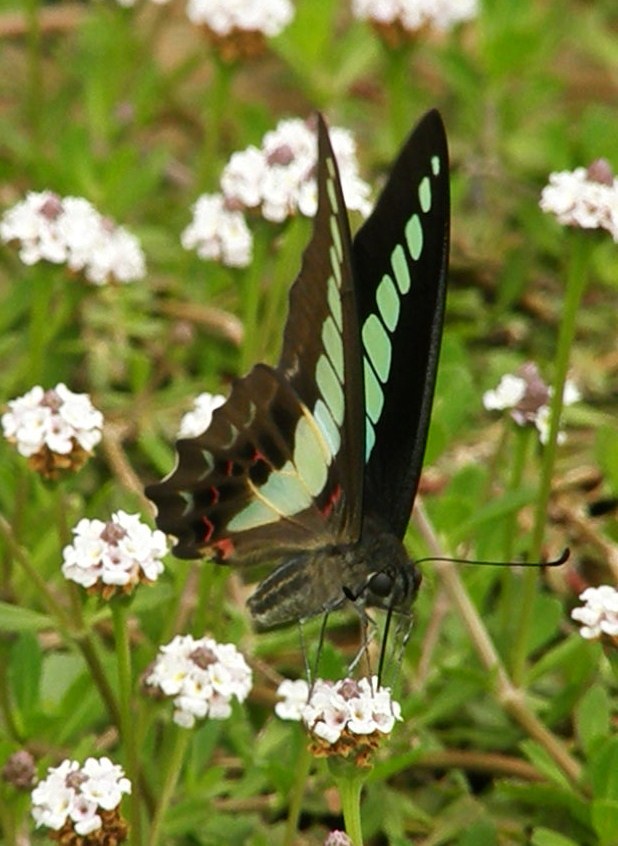 e0064158_2327395.jpg