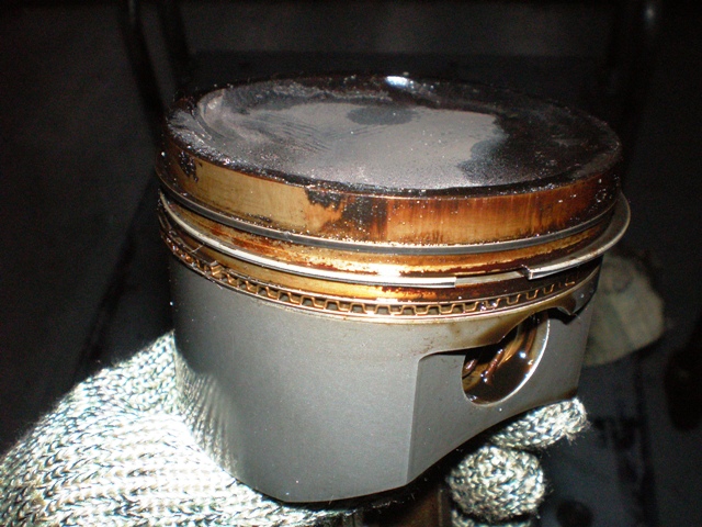 a0080560_178289.jpg