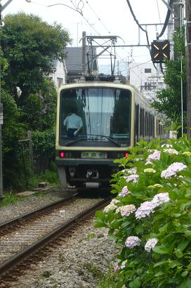 鎌倉紫陽花巡り・ＰＡＲＴ２☆_b0142464_135798.jpg