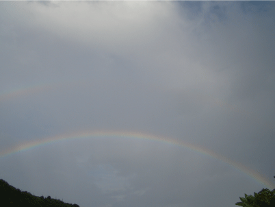 a0014067_16315777.gif