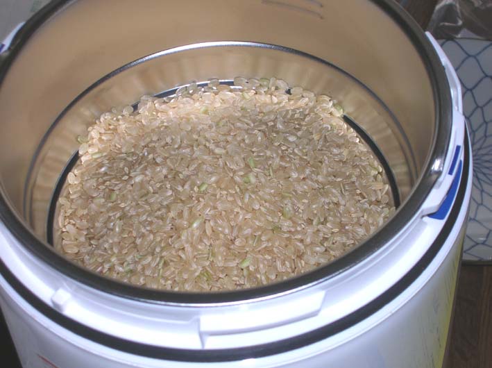 故郷のコメの美味しさの秘密は東大社の森が育んだ湧水！_c0014967_10431711.jpg