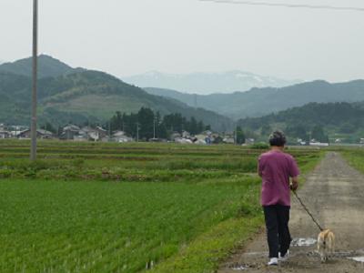 e0139167_20121462.jpg