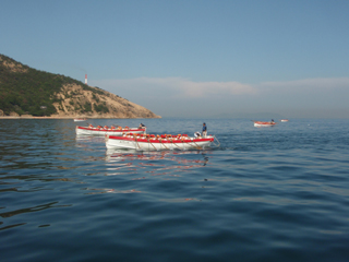 f0202368_18375916.jpg