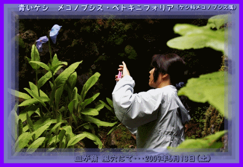 f0104569_23501472.gif