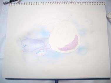 制作過程公開_f0176370_18431378.jpg