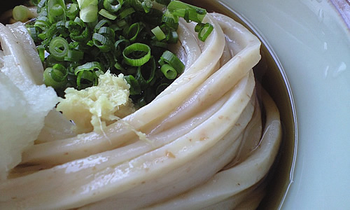試作うどん 「夢世紀」「ホクシン+シラネブレンド」_c0092877_11442359.jpg