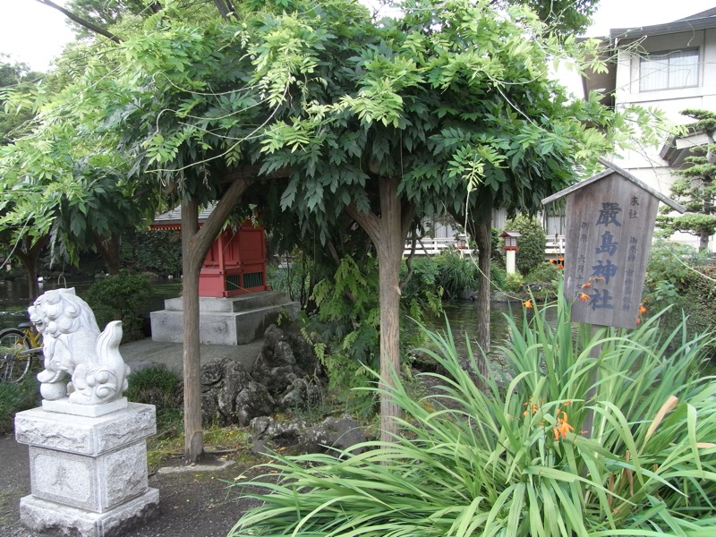 富士山本宮浅間神社_c0173978_23504264.jpg