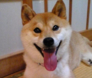 懐かしい香り_a0126590_21412925.jpg