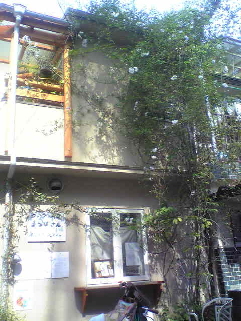 a0097592_05369.jpg