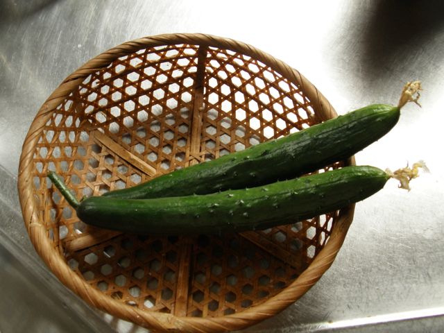 f0130894_2240975.jpg