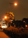 b0172203_21551362.gif