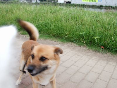 d0149103_20463625.jpg