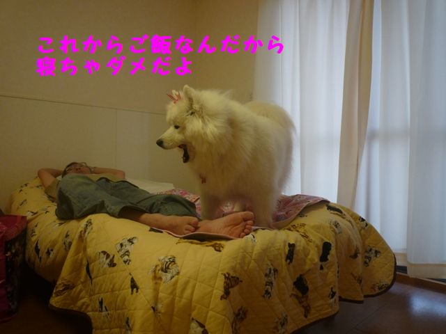 e0018604_8335890.jpg