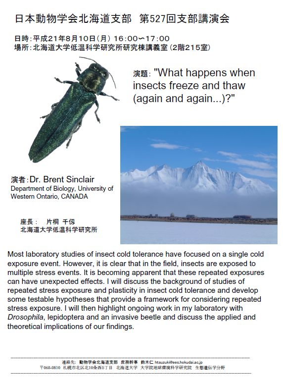昆虫を繰り返し凍結融解するとどうなるか_c0025115_20193787.jpg