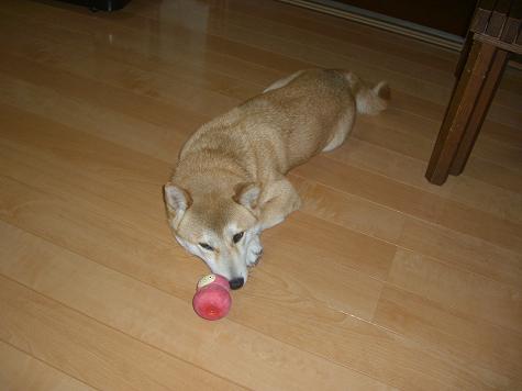 c0138720_1415439.jpg