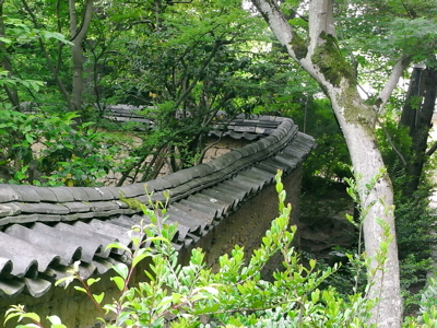 e0092221_16574619.jpg