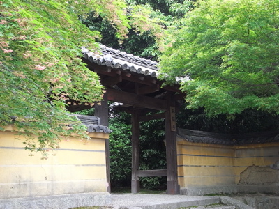 e0092221_17174965.jpg