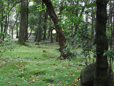 e0092221_17212750.jpg