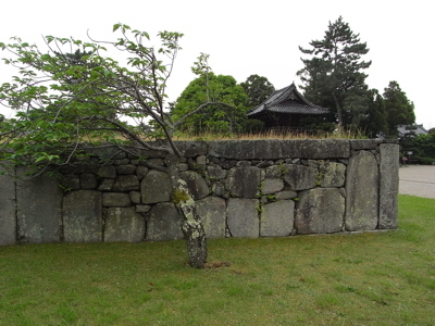 e0092221_17255722.jpg