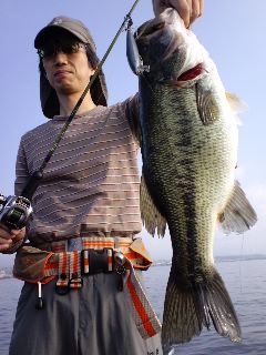 6月17日(水)_e0100021_1925690.jpg