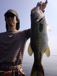 6月17日(水)_e0100021_1935551.jpg