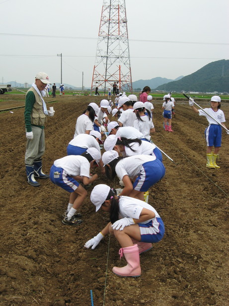 6月9日 種まき(北新庄小学校3年生の子供たち)_e0061225_862891.jpg