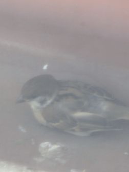 c0195134_13265128.jpg