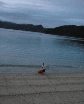 b0100637_13214992.gif