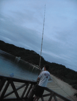 b0100637_13223956.gif