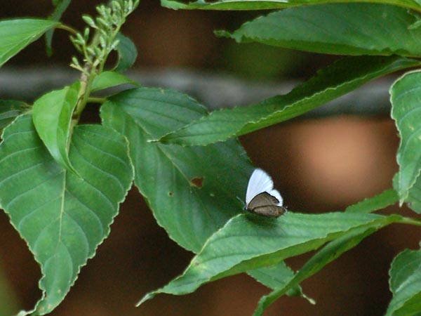 c0045352_2332242.jpg