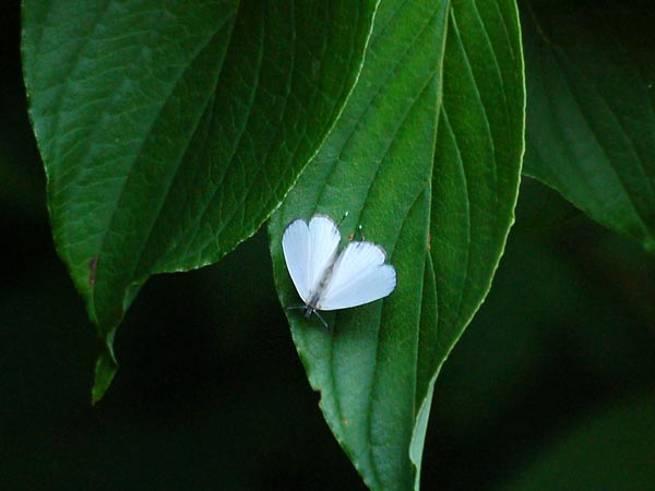 c0045352_23324073.jpg